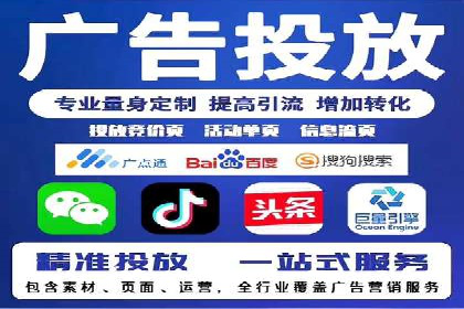 百度广告投放策略与效果评估案例